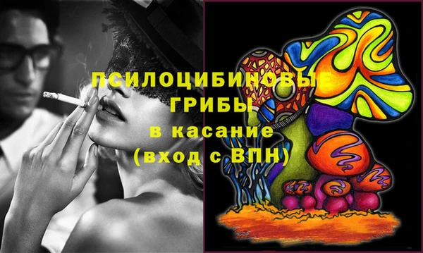 соль ск Бронницы