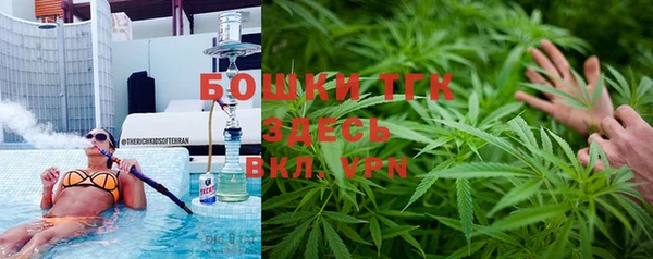 mdpv Бородино