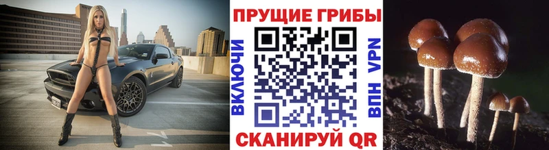 Галлюциногенные грибы MAGIC MUSHROOMS  ОМГ ОМГ онион  Собинка 